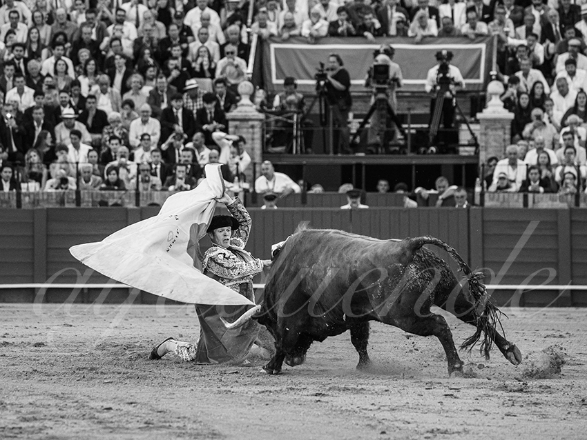 20260420 sevilla fd 031 copie