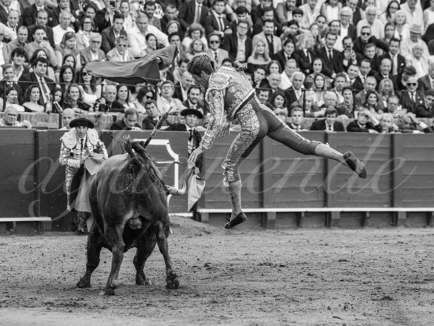 20260420 sevilla fd 030 copie