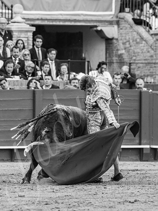 20260420 sevilla fd 029 copie