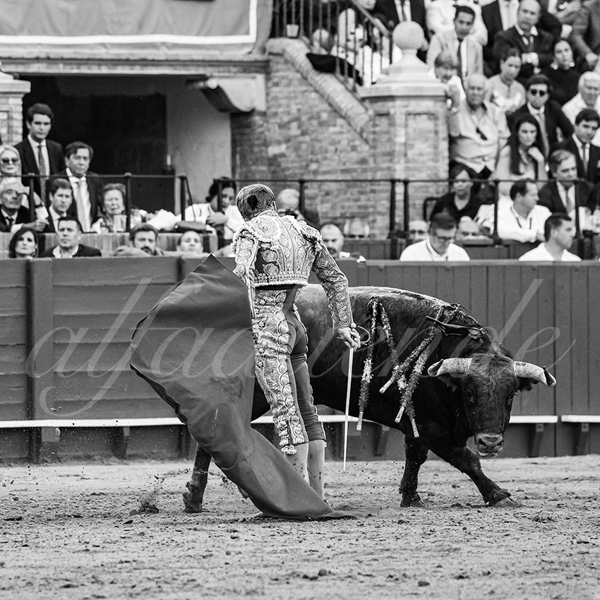 20260420 sevilla fd 028 copie