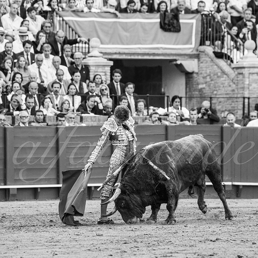 20260420 sevilla fd 027 copie