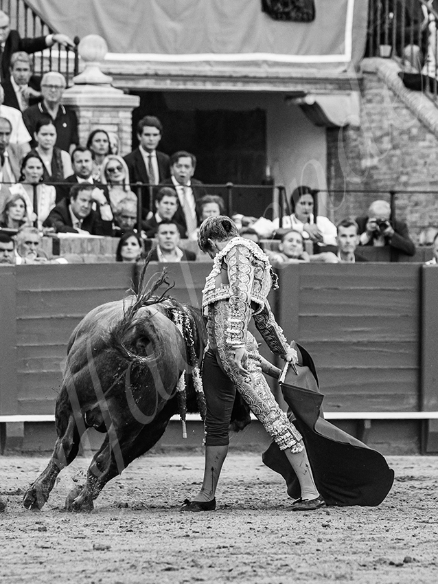 20260420 sevilla fd 026 copie