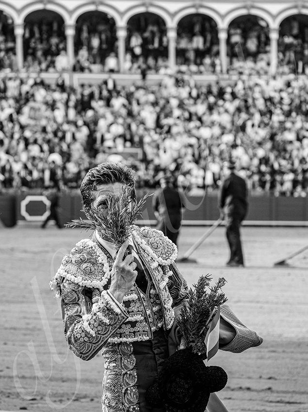 20260420 sevilla fd 025 copie