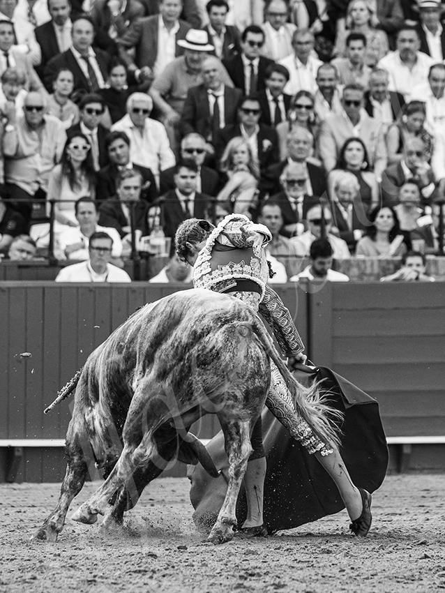 20260420 sevilla fd 024 copie