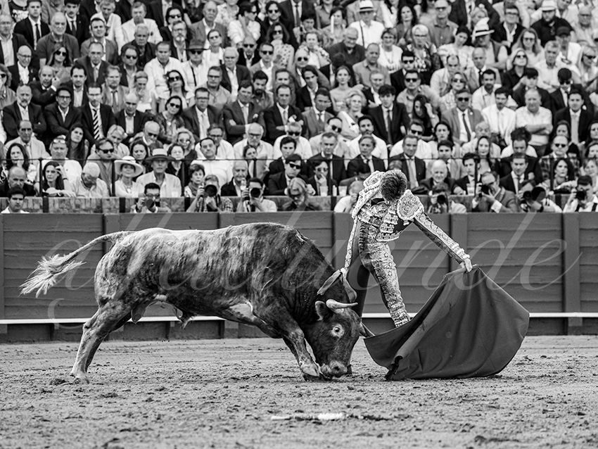 20260420 sevilla fd 023 copie