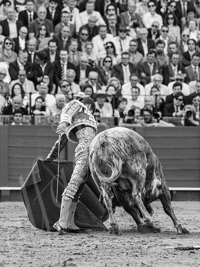 20260420 sevilla fd 022 copie