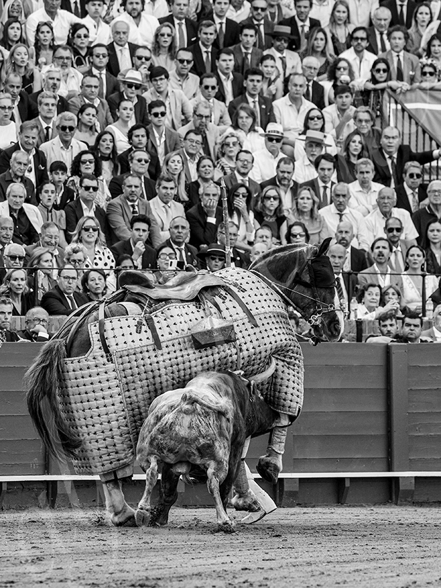 20260420 sevilla fd 021 copie