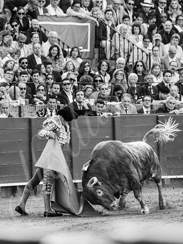 20260420 sevilla fd 020 copie