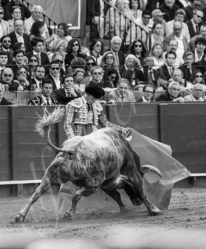 20260420 sevilla fd 019 copie