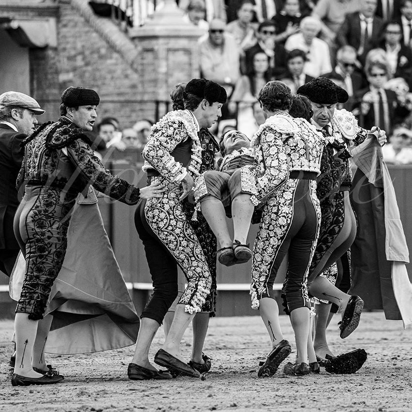 20260420 sevilla fd 018 copie