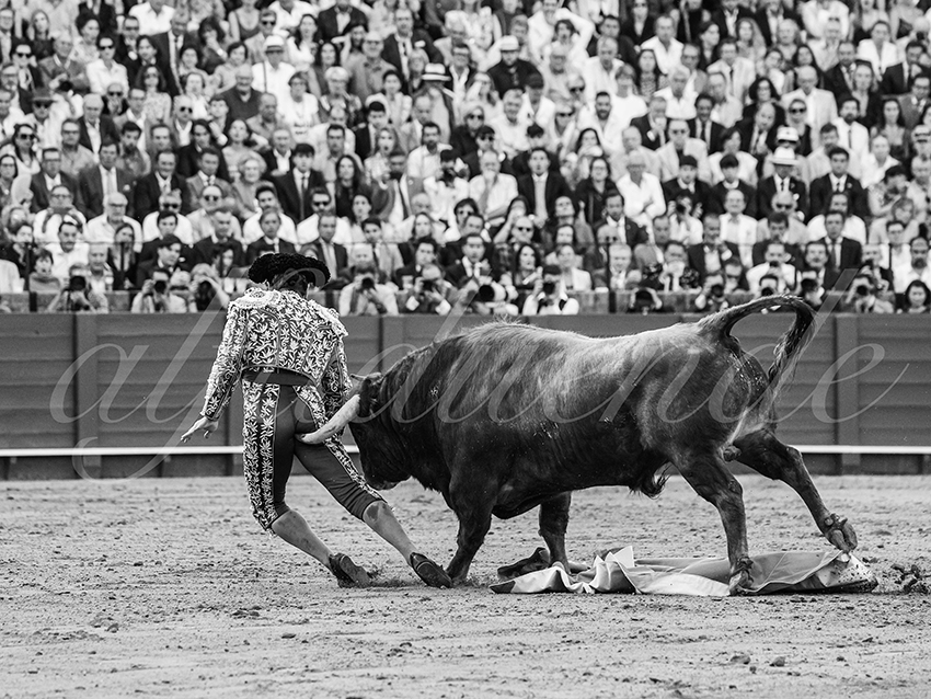 20260420 sevilla fd 017 copie