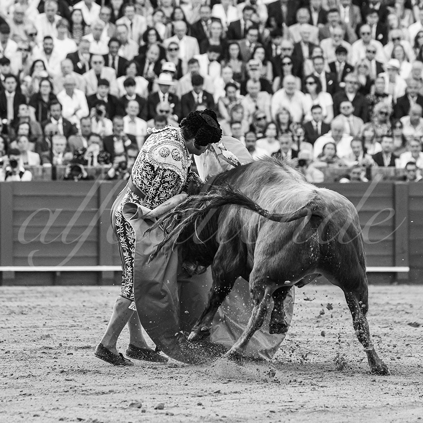 20260420 sevilla fd 016 copie