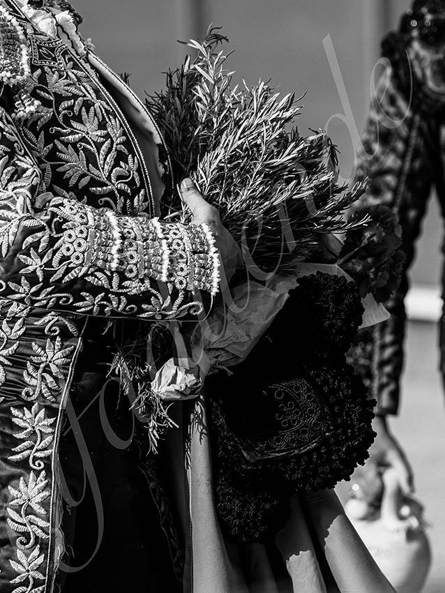 20260420 sevilla fd 015 copie