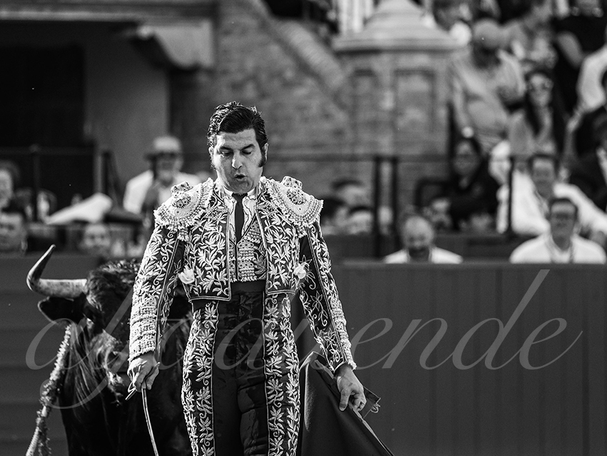 20260420 sevilla fd 011 copie