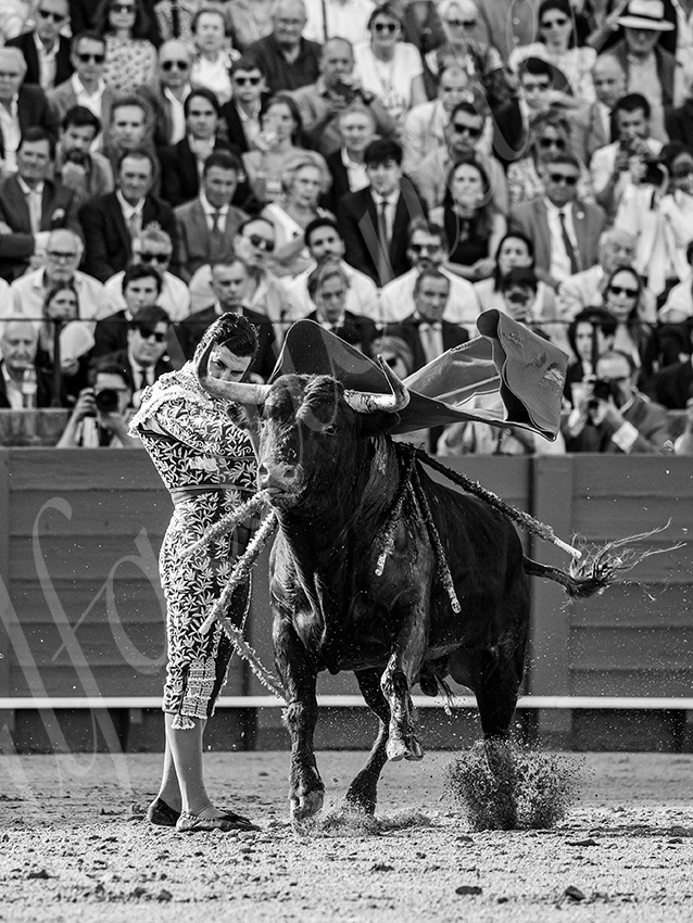 20260420 sevilla fd 010 copie