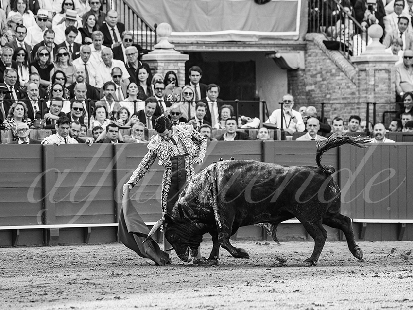 20260420 sevilla fd 009 copie