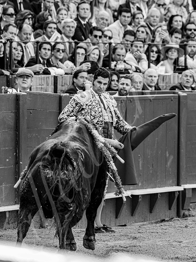 20260420 sevilla fd 008 copie