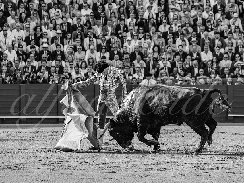 20260420 sevilla fd 007 copie