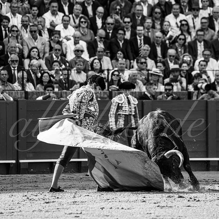 20260420 sevilla fd 006 copie