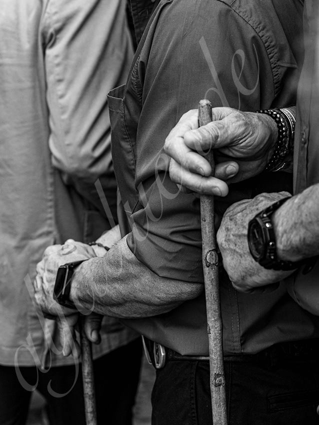 20260420 sevilla fd 001 copie