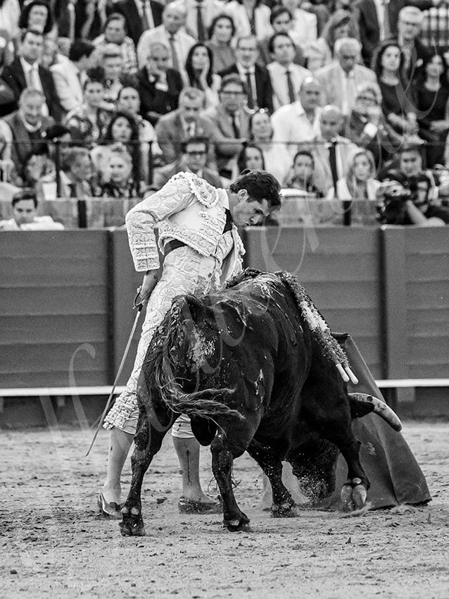 20260421 sevilla fd 031 copie