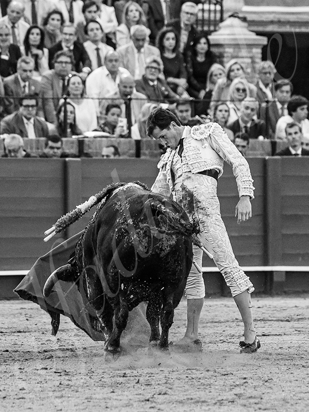 20260421 sevilla fd 030 copie
