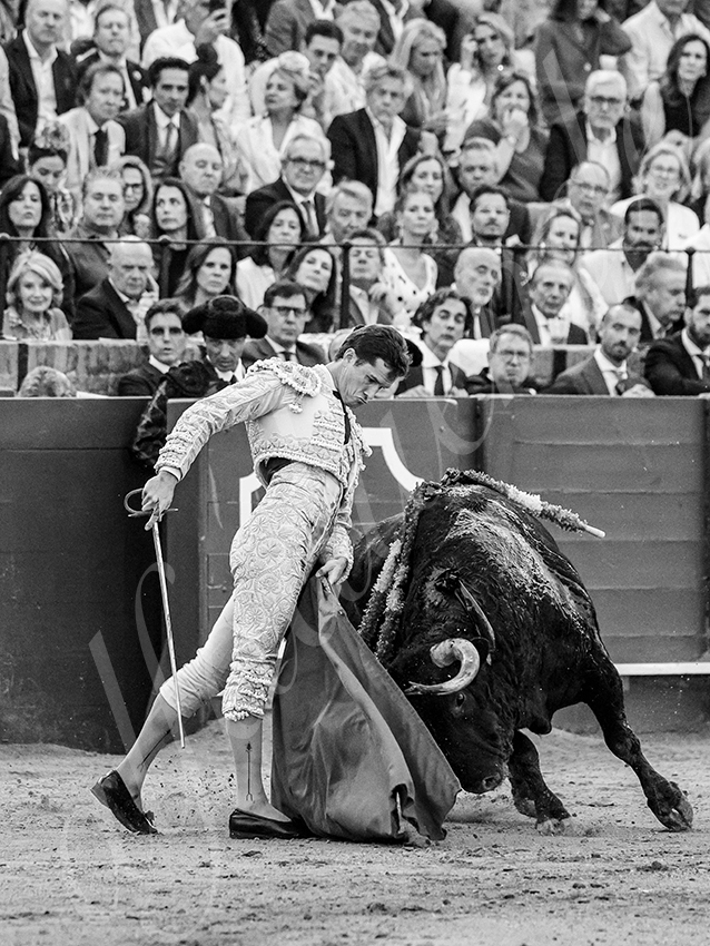 20260421 sevilla fd 029 copie