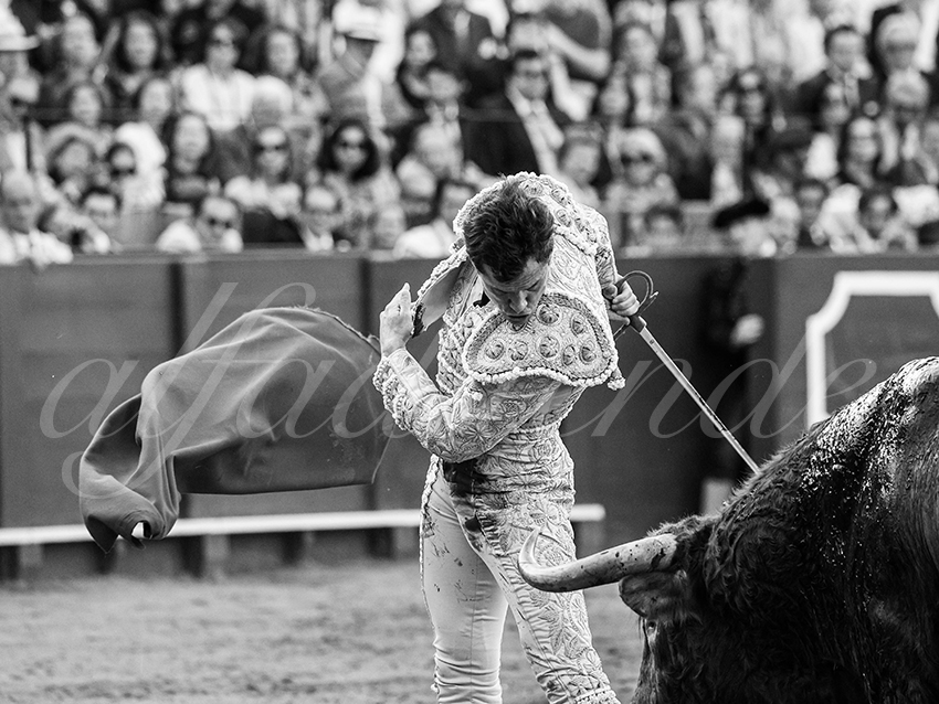 20260421 sevilla fd 028 copie