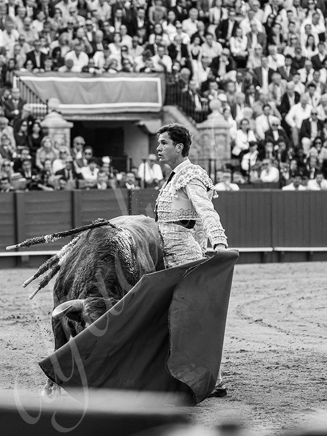20260421 sevilla fd 027 copie