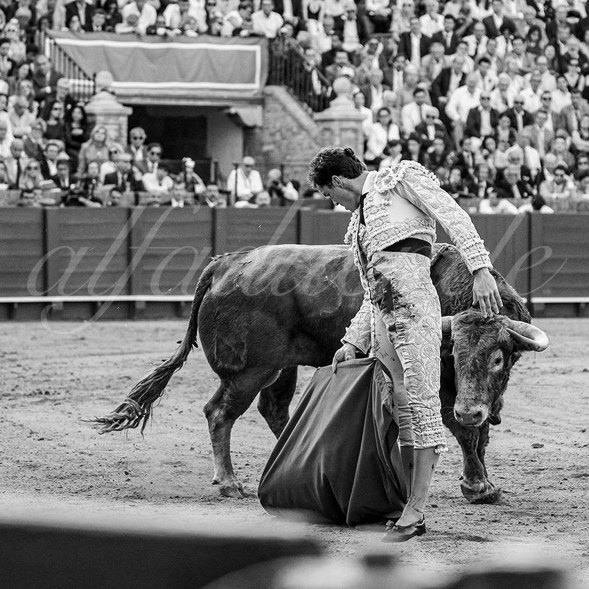 20260421 sevilla fd 026 copie