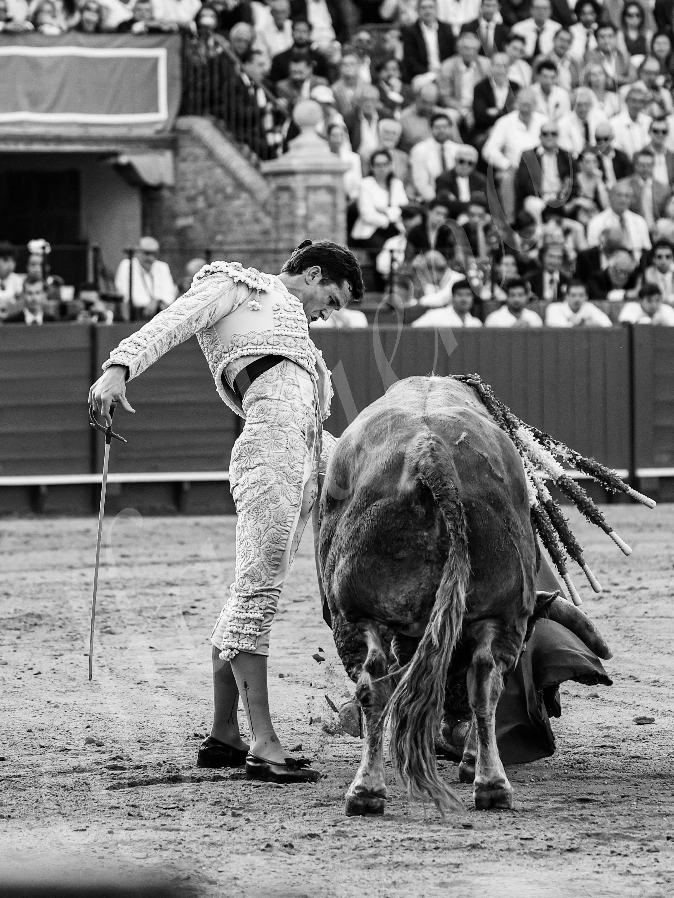 20260421 sevilla fd 025 copie