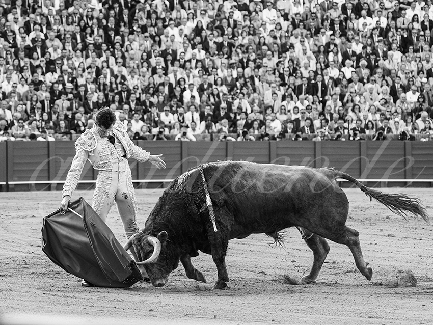 20260421 sevilla fd 024 copie