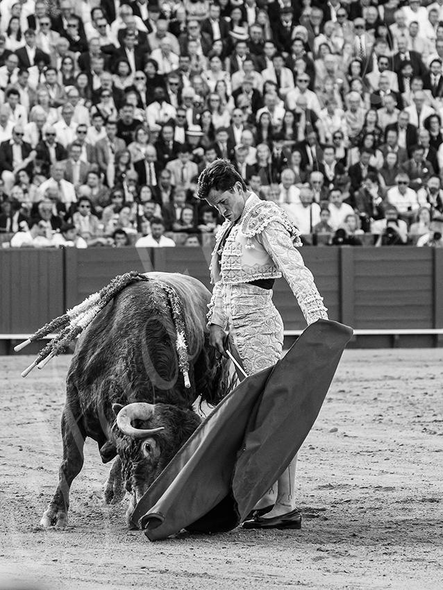 20260421 sevilla fd 023 copie