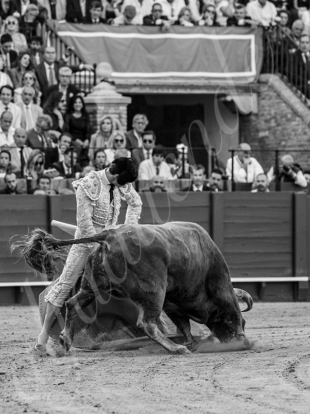 20260421 sevilla fd 022 copie