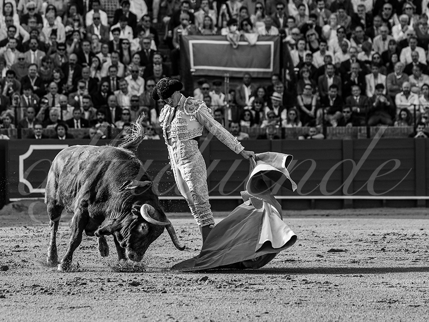 20260421 sevilla fd 021 copie