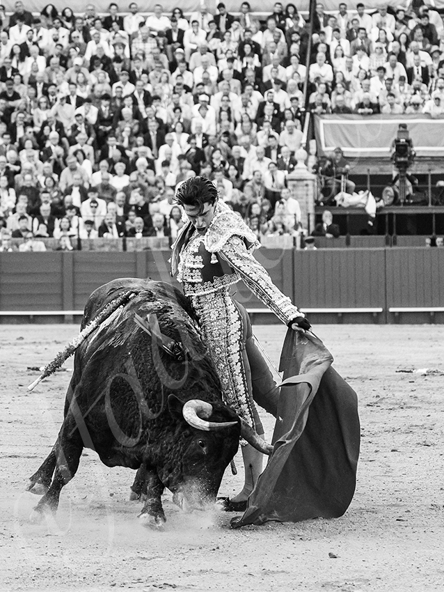 20260421 sevilla fd 019 copie