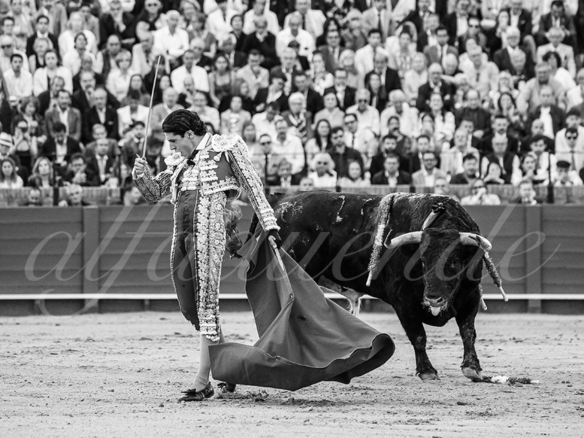 20260421 sevilla fd 018 copie