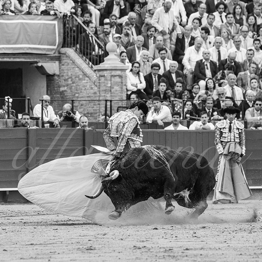 20260421 sevilla fd 017 copie