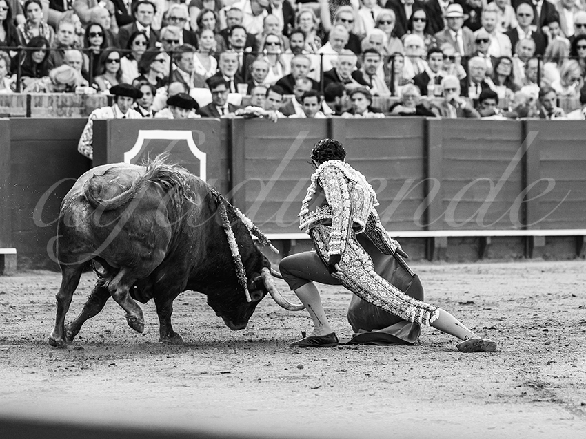 20260421 sevilla fd 014 copie
