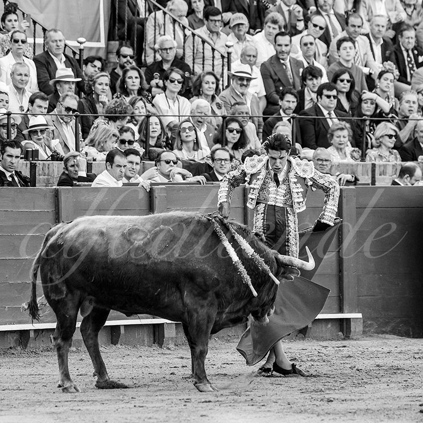 20260421 sevilla fd 013 copie