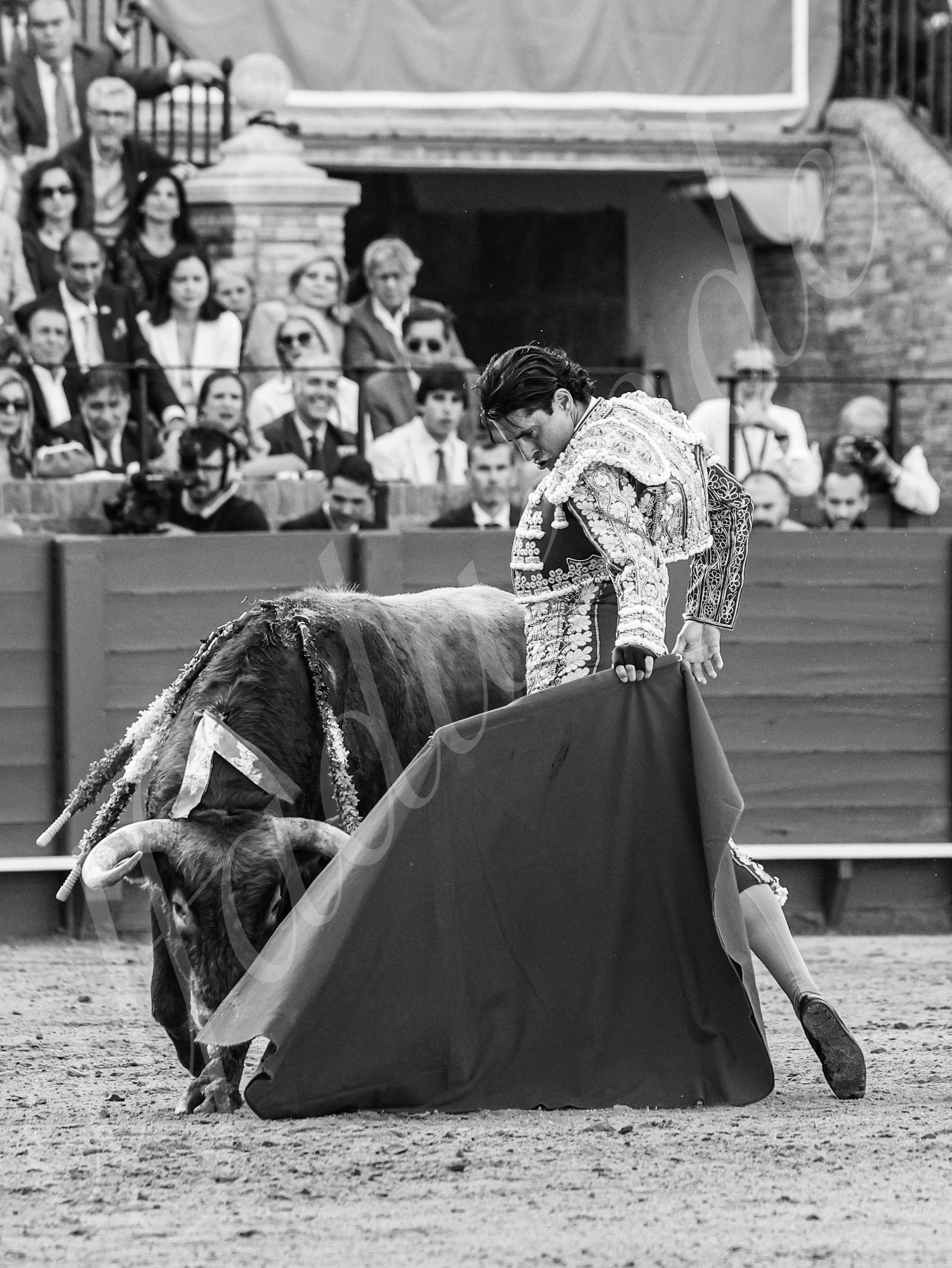 20260421 sevilla fd 012 copie