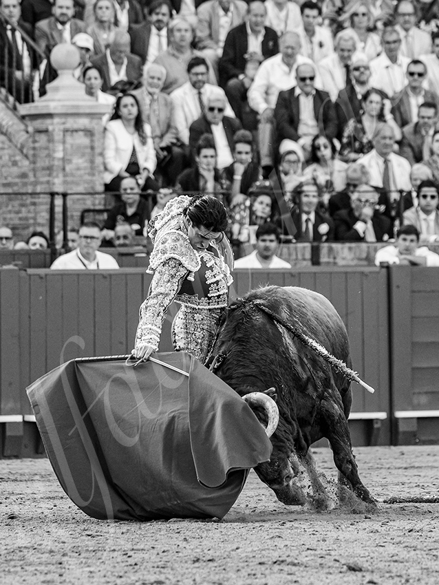 20260421 sevilla fd 011 copie