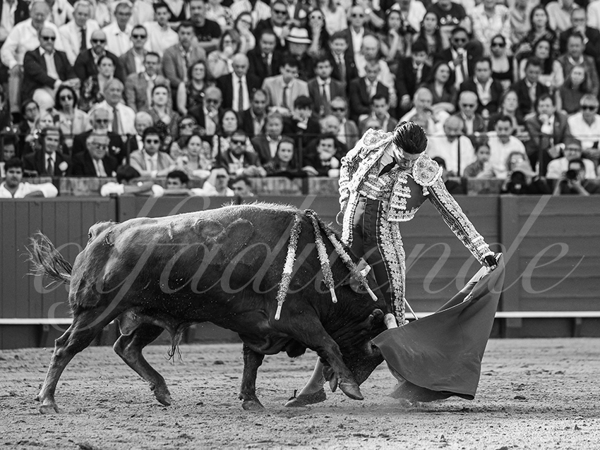 20260421 sevilla fd 010 copie