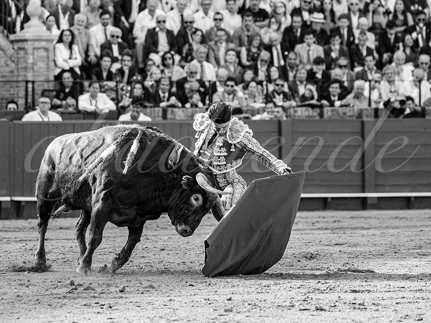 20260421 sevilla fd 009 copie
