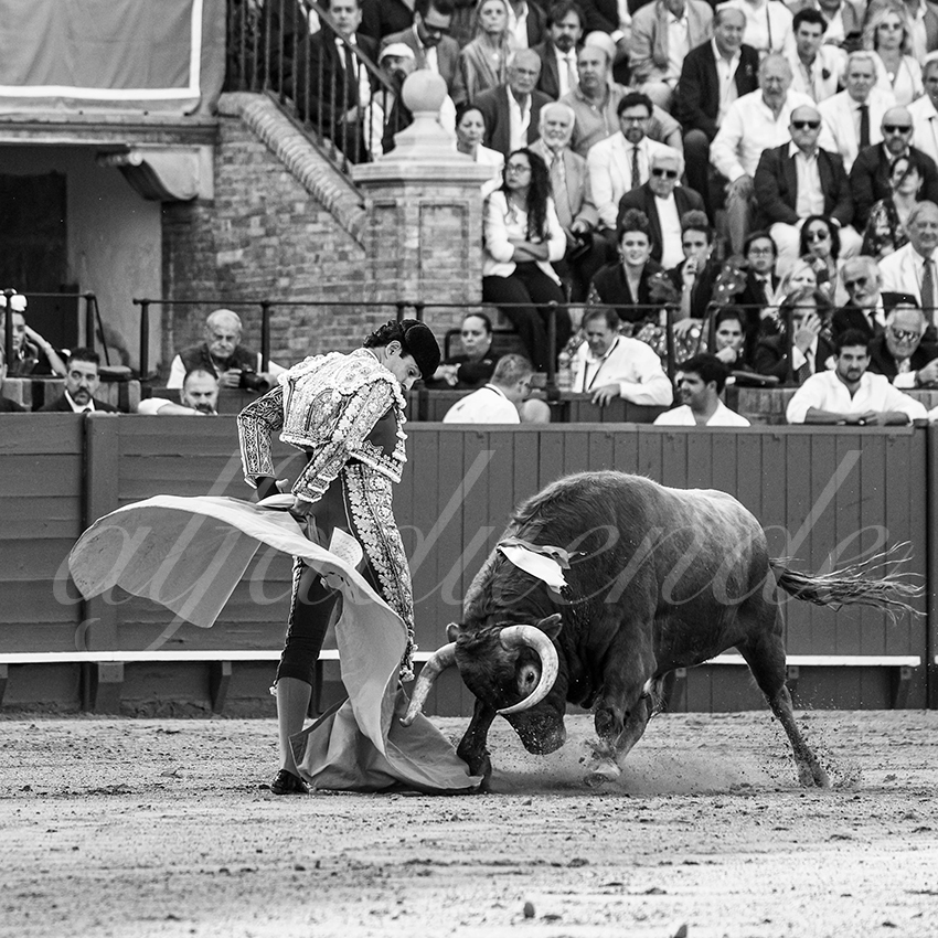 20260421 sevilla fd 008 copie