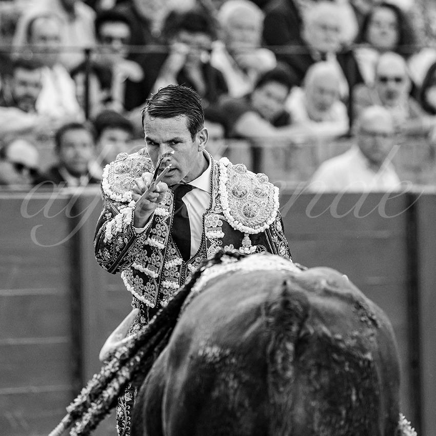 20260421 sevilla fd 006 copie