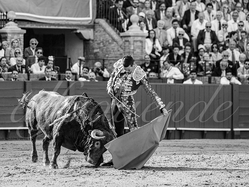 20260421 sevilla fd 005 copie