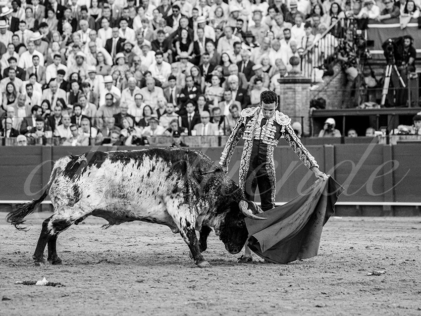 20260422 sevilla hd 040 copie