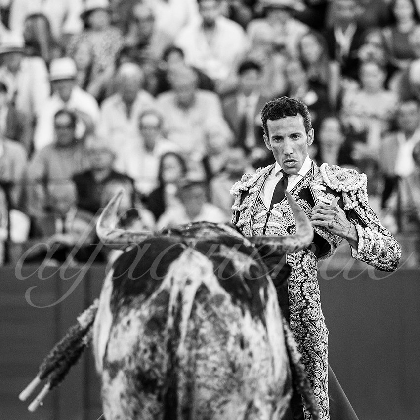 20260422 sevilla hd 039 copie