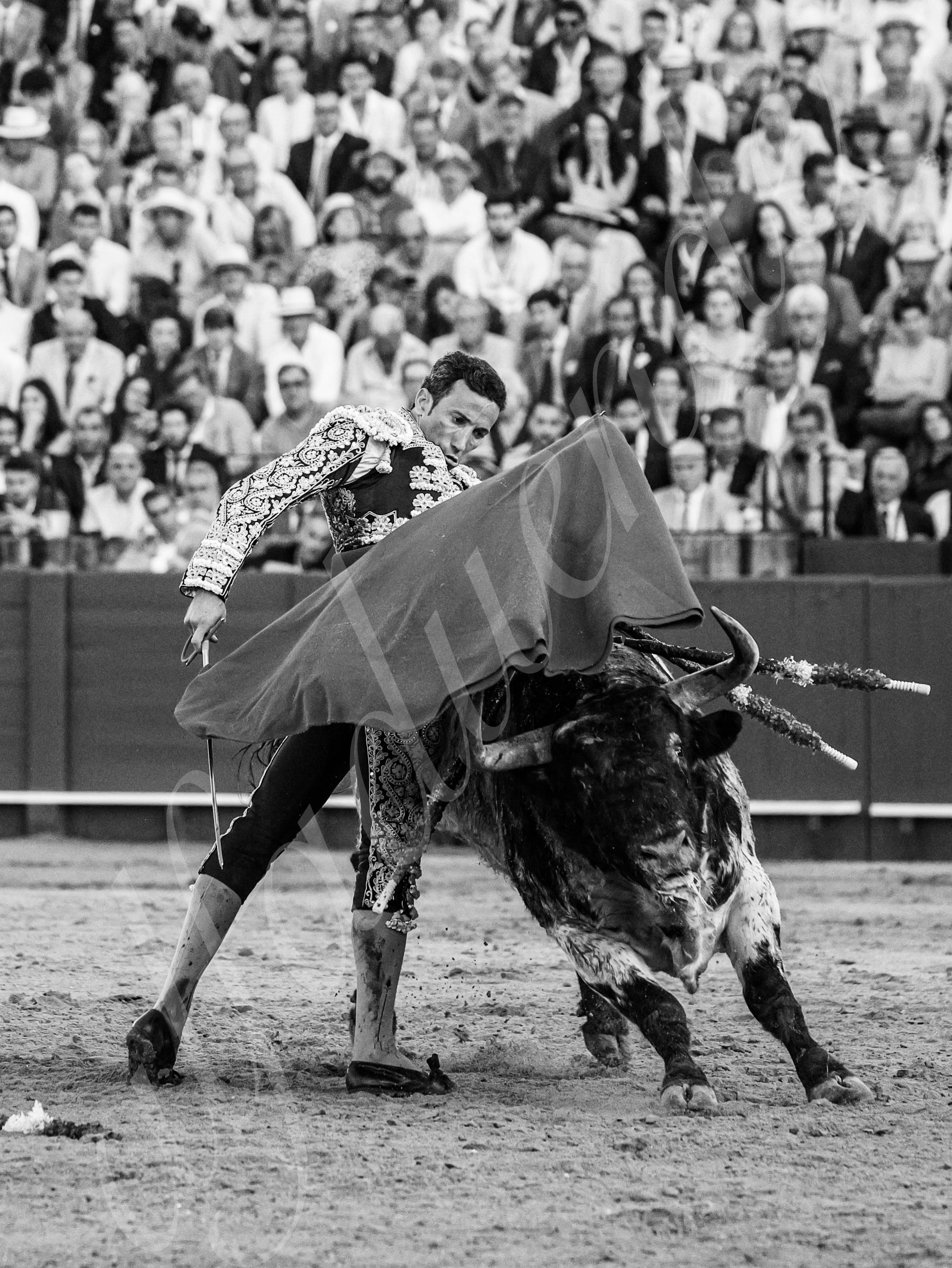 20260422 sevilla hd 038 copie